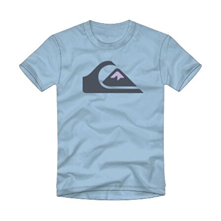 Quiksilver Comp Logo Erkek Tişört  EQYZT06534