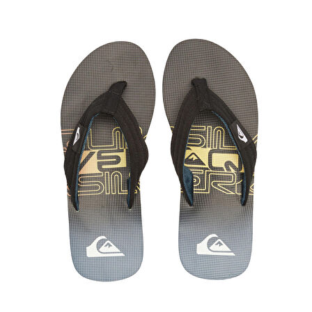Quiksilver Molokai Layback II Erkek Terlik  AQYL101339