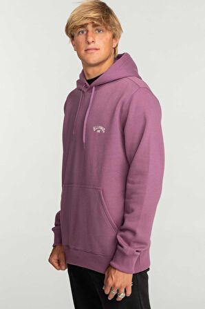 Billabong Arch Po Erkek Sweatshirt EBYFT00114