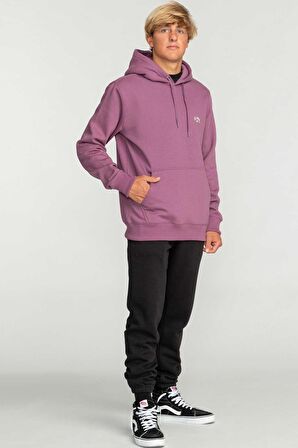 Billabong Arch Po Erkek Sweatshirt EBYFT00114