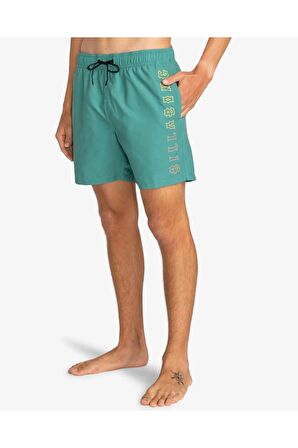 Billabong ALL DAY HERITAGE LB Yeşil Erkek Mayo