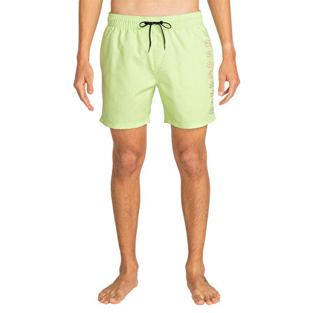 Billabong ALL DAY HERITAGE LB SARI Erkek Mayo