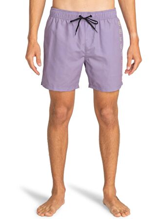 Billabong Gri Erkek Şort Mayo EBYJV00122_ALL DAY HERITAGE LB