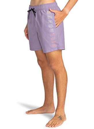 Billabong Gri Erkek Şort Mayo EBYJV00122_ALL DAY HERITAGE LB