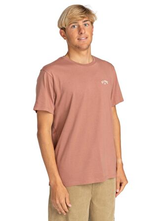 Billabong Açık Kahve Erkek Bisiklet Yaka Regular Fit T-Shirt EBYKT00100_ARCH  KTTP