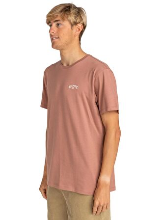 Billabong Açık Kahve Erkek Bisiklet Yaka Regular Fit T-Shirt EBYKT00100_ARCH  KTTP