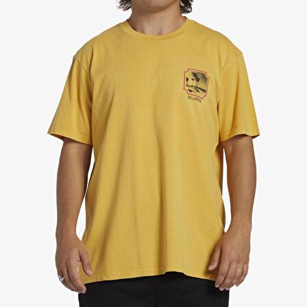 Billabong Reflections Tees Erkek Tişört ABYZT02278