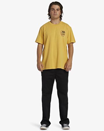 Billabong Reflections Tees Erkek Tişört ABYZT02278