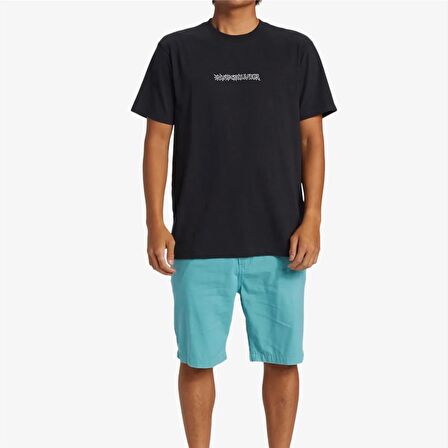 Quiksilver Everyday Union Light Erkek Mavi Walkshort