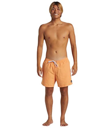 Quiksilver AQYJV03153 Everyday Solid Volley 15 Erkek Şort Mayo