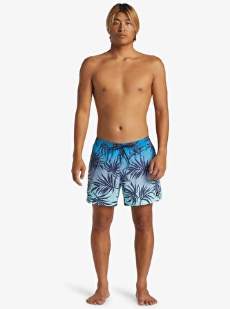 Quiksilver Everyday Mix Volley 15 Erkek Deniz Şortu