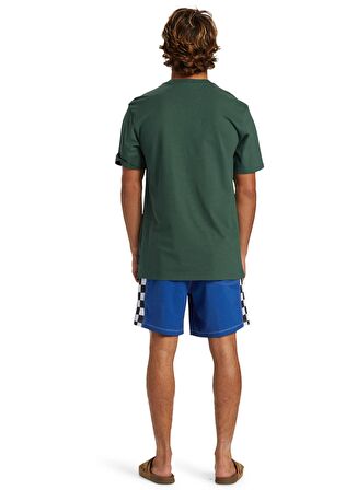 Quiksilver Yeşil Erkek O Yaka  Standart Fit Baskılı T-Shirt AQYZT09601_QS OMNI LOGO DNA