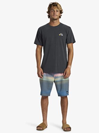 Quiksilver Spaceman Mlw Erkek Tişört AQYZT09554