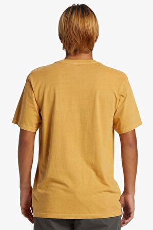 Quiksilver Salt Water Erkek Tişört AQYZT09558-69