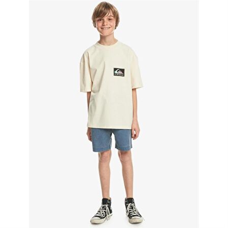 Quiksilver Back Flash Ss Youth Bej Çocuk T-Shirt