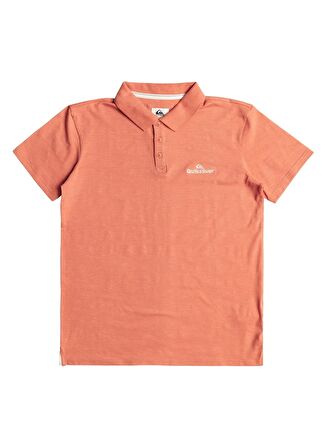 Quiksilver Baskılı Pembe Erkek Polo T-Shirt EQYKT04334_POLO STRETCH