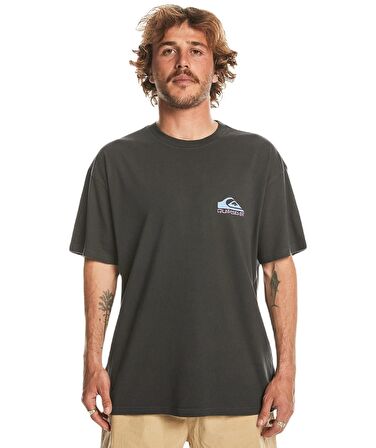 Quiksilver EQYZT07654 Take Us Back Logo Ss Erkek Tişört