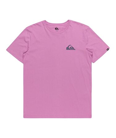 Quiksilver EQYZT07657 Mw Mini Logo Ss Erkek Tişört