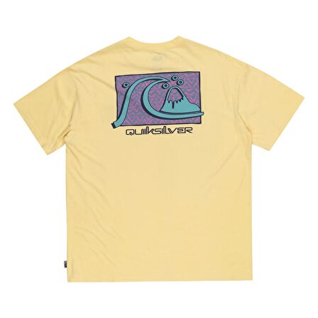 Quiksilver TAKE US BACK BUBBLE SS SARI Erkek Tshirt