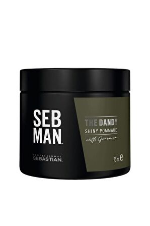 Sebastian Man The Dandy Pomade 75 ml