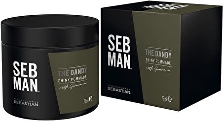 Sebastian Man The Dandy Pomade 75 ml