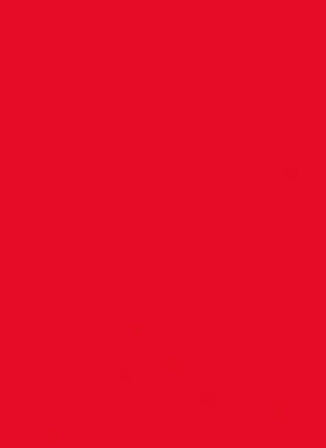 Rouge Pur Couture R12