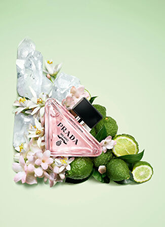Lancome 50 ml Parfüm