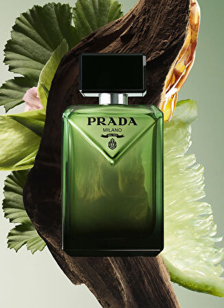 Paradigme EDP 100 ml Erkek Parfüm