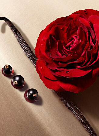 Armani 100 ml Parfüm