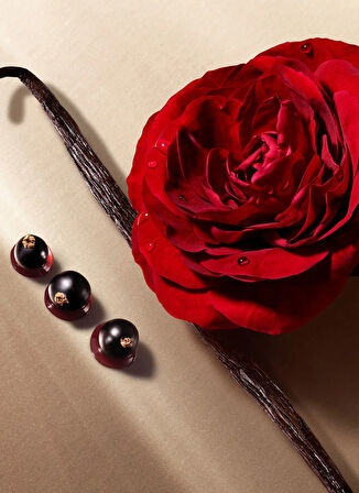 Armani 50 ml Parfüm