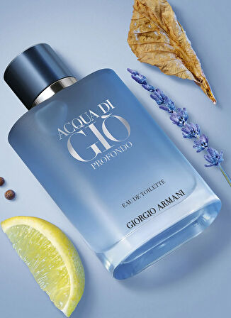 Acqua di Gio Profondo EDT 100 ml Erkek Parfüm