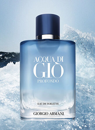 Acqua di Gio Profondo EDT 100 ml Erkek Parfüm