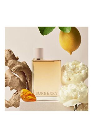 Burberry 100 ml Parfüm