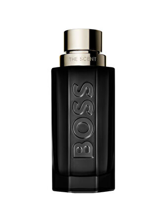 HUGO BOSS THE SCENT MAGNETİC EDP 100 ML ERKEK PARFÜM