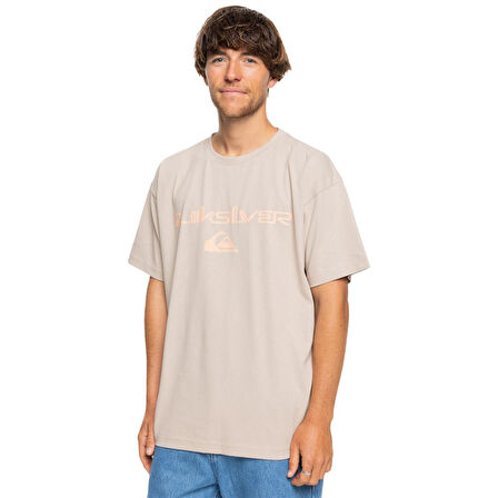 Quiksilver Vintage Omni And Logo Tee Erkek T-Shirt