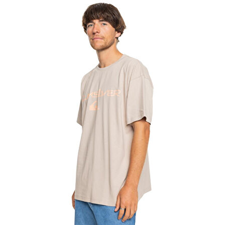Quiksilver Vintage Omni And Logo Tee Erkek T-Shirt