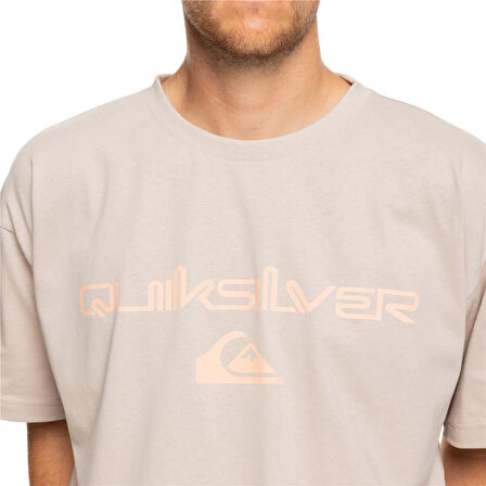Quiksilver Vintage Omni And Logo Tee Erkek T-Shirt
