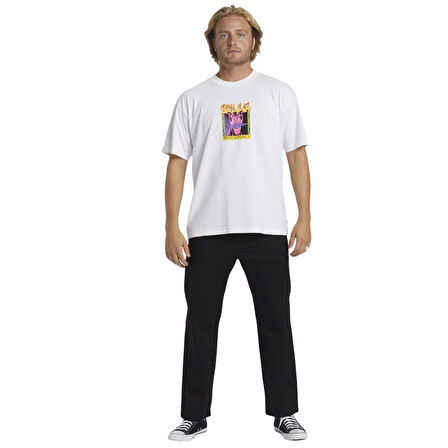 Billabong Dawg Ss Og Erkek T-Shirt