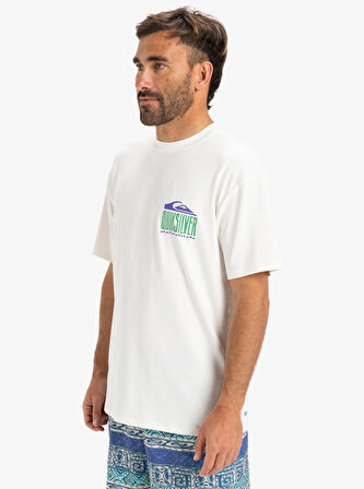Quiksilver Everyday Surf Tee Ss Erkek Tişört AQYWR03135