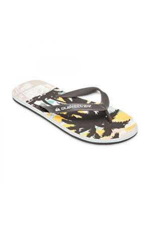 Quiksilver Aqyl101430 Molokai Art 25 Erkek Terlik
