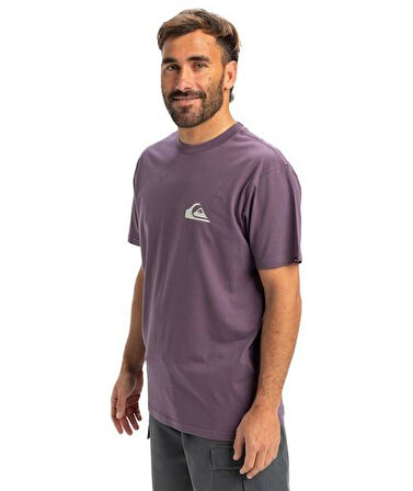 Quiksilver EQYZT08042-PQC0 Ev Mini Logo Ss Erkek Spor Tişört