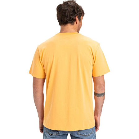 Quiksilver Ev Mini Logo Erkek T-Shirt