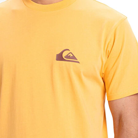 Quiksilver Ev Mini Logo Erkek T-Shirt
