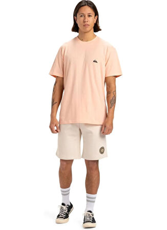 EQYZT07711 BASIC SS TEE YOUNG MEN Somon Bisiklet Yaka Normal Kalıp Erkek T-Shirt