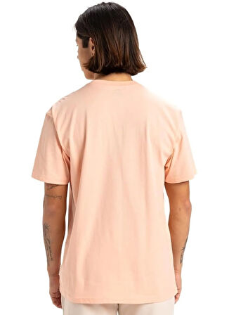 EQYZT07711 BASIC SS TEE YOUNG MEN Somon Bisiklet Yaka Normal Kalıp Erkek T-Shirt