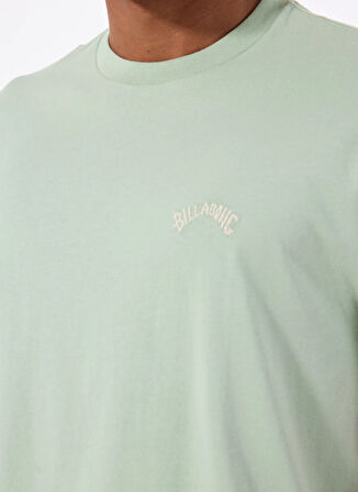 Billabong ARCH CREW SS EBYKT00100 Yeşil Bisiklet Yaka Regular Fit Düz Erkek T-Shirt