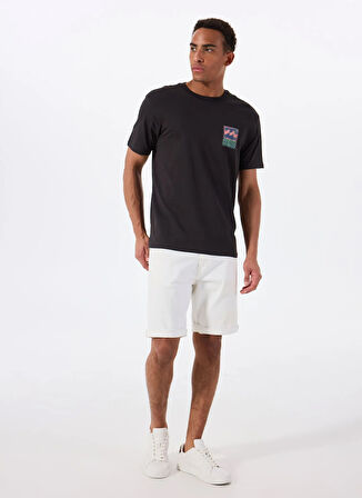 Billabong STAMP SS EBYZT00293 Siyah Bisiklet Yaka Regular Fit Düz Erkek T-Shirt