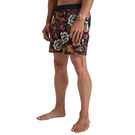 Billabong Vacay Lb Erkek Şort