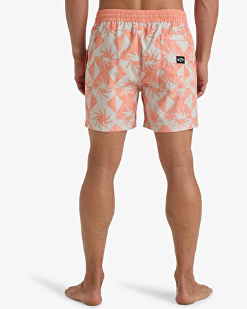 Billabong Vacay Lb Erkek Şort
