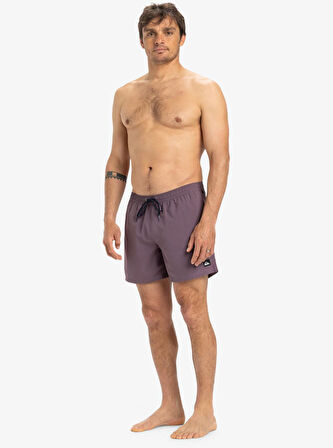 Quiksilver EQYJV04120-PQC0 Everyday Solid Volley 15 Erkek Şort Mayo